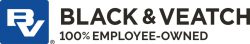 B&V 100% Employee Owned Logo